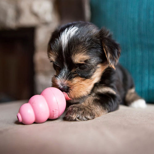 KONG Puppy Kauwspeelgoed – Natuurlijk Rubber Bijtspeeltje