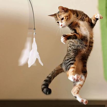 Kattenhengel met Veer en Belletje – Interactief Speeltje