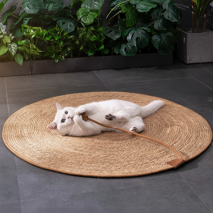 Witte kat op rattan mat buiten